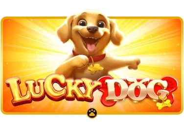 pussy888apk
